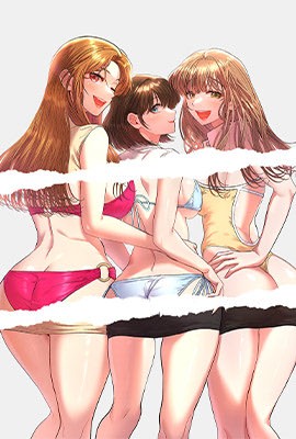 完结漫画：钢之炼金术师